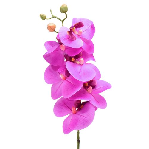 Kunstorchidee Phalaenopsis Orchidee Roze 78cm