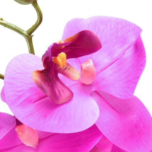 Artikel Kunstorchidee Phalaenopsis Orchidee Roze 78cm