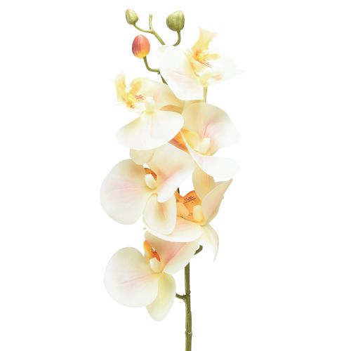 Floristik24 Kunst Orchidee Creme Oranje Phalaenopsis 78cm