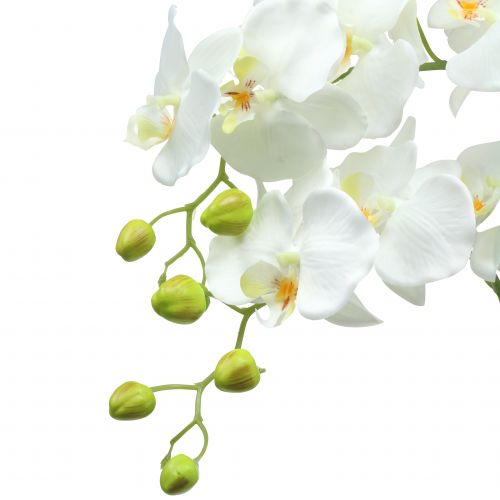 Artikel Orchidee wit op een bol van 118cm