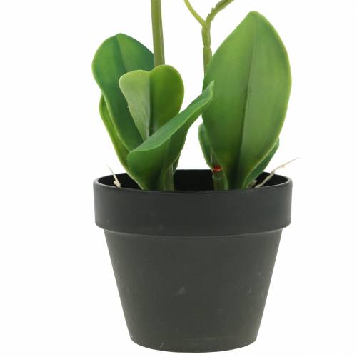 Floristik24 Orchideeën wit in pot kunstplant H35cm