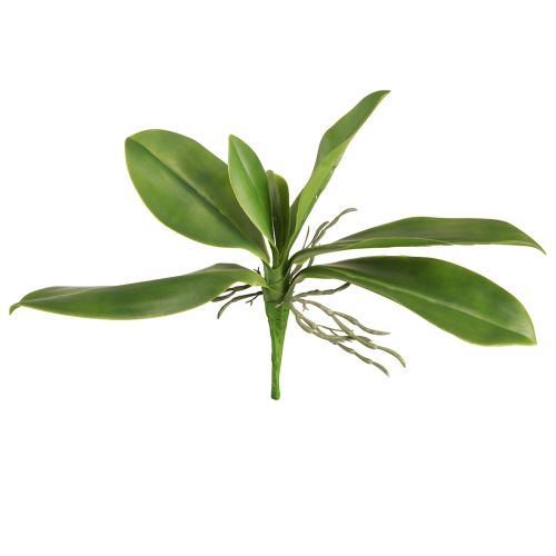 Artikel Orchideebladeren met luchtwortels kunstmatig 34x8x18cm