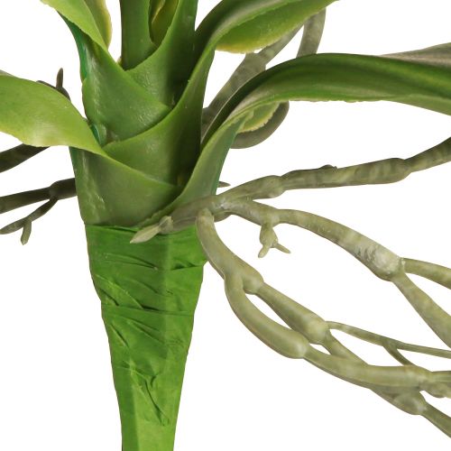 Artikel Orchideebladeren met luchtwortels kunstmatig 34x8x18cm