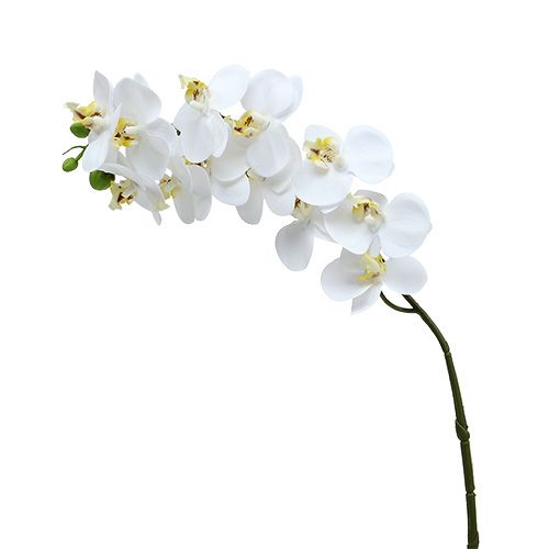 Artikel Orchidee tak wit L58cm