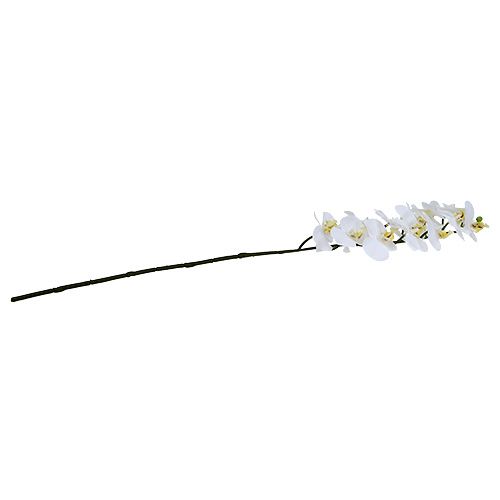 Artikel Orchidee tak wit L58cm