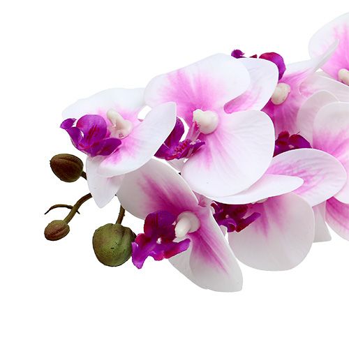 Floristik24 Orchidee tak wit-roze L58cm