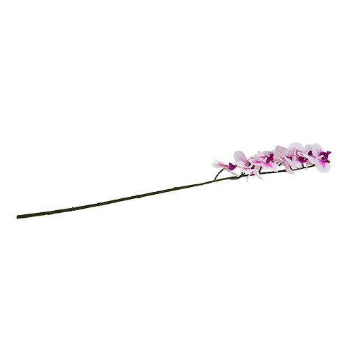 Floristik24 Orchidee tak wit-roze L58cm
