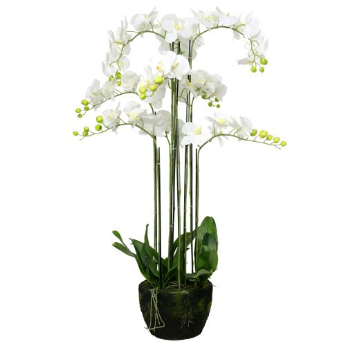 Artikel Orchidee wit op een bol van 118cm