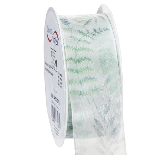 Floristik24 Organza lint, chiffon lint, bladerrijke takken, groen, 40 mm, 15 m