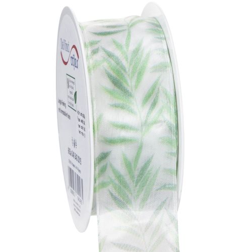 Floristik24 Organzalint, chiffonlint, groen plantenlint, 40 mm x 15 m
