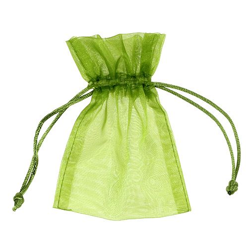 Floristik24 Organza zakjes groen 12cm x 9cm 10st