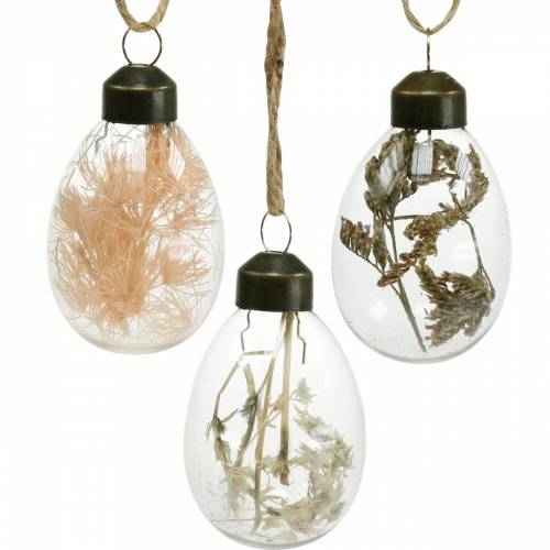 Floristik24 Paaseieren met gedroogde bloemen, decoratieve eieren van echt glas, bloemenpaasdecoraties om op te hangen, glazen eieren 8 stuks