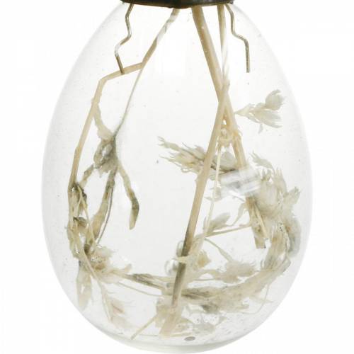 Floristik24 Paaseieren met gedroogde bloemen, decoratieve eieren van echt glas, bloemenpaasdecoraties om op te hangen, glazen eieren 8 stuks