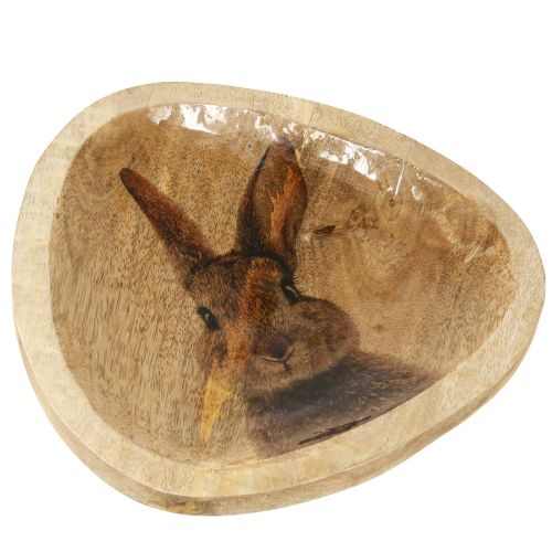 Floristik24 Paasbord Houten Decoratief Bord Konijn in Ei Naturel 25x26cm