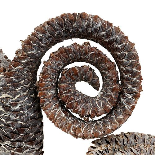 Artikel Palm Male Wit gewassen 25 st