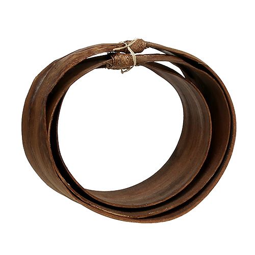 Floristik24 Palmblad set naturel 21cm -26cm