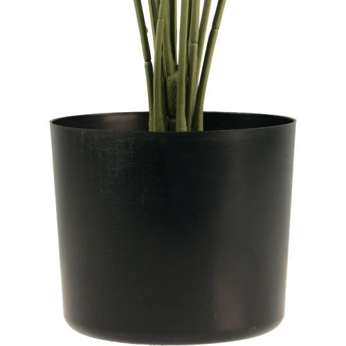 Floristik24 Palm decoratieve waaierpalm kunstplanten pot groen 80cm
