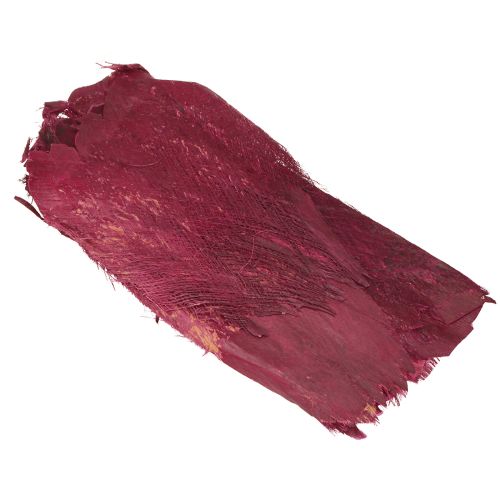 Floristik24 Palmvezel natuurlijke decoratie natuurlijke vezel Bessen 25-50cm 250g