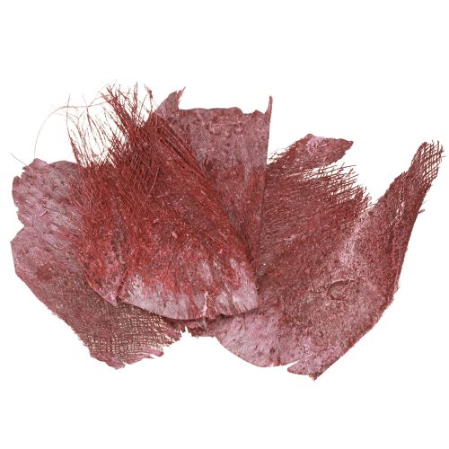 Artikel Palmvezel voor knutselen Bordeaux wit gewassen 20-40cm 250g