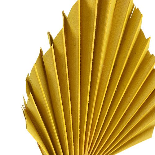 Palm speer geel 65st