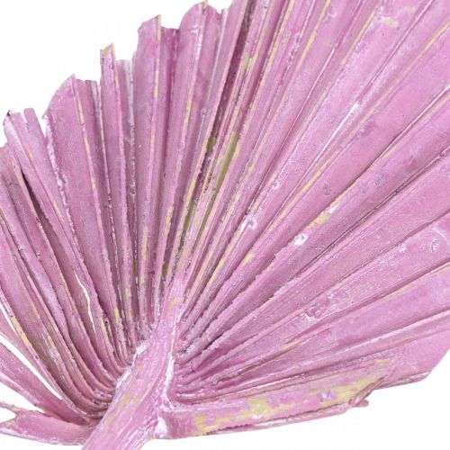 Artikel Palmspear Mix Roze Bessen, Wit Gewassen Memorial Bloemisterij 65 st