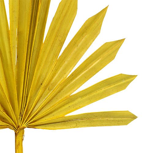 Artikel Palmspear Sun mini geel 50st