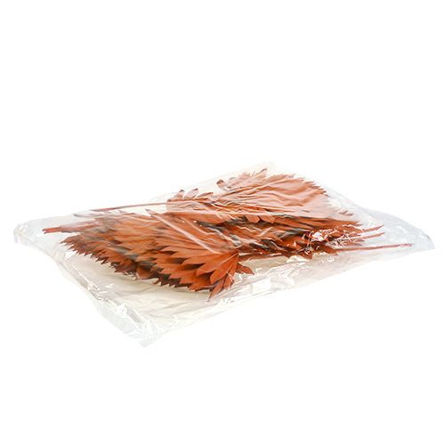 Artikel Palmspear Sun mini Oranje 50 st