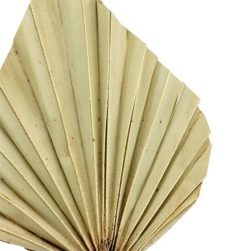 Artikel Palmspear mini natuur 100 st