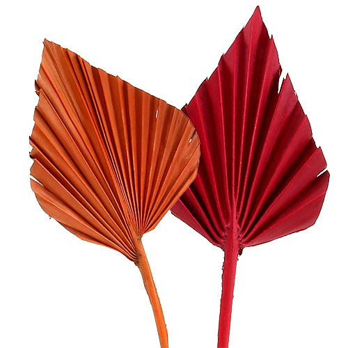 Artikel Palmspeer assorti rood/oranje 50st