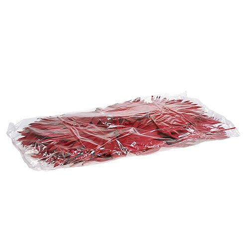 Artikel Palmspear Zon Rood 30 st