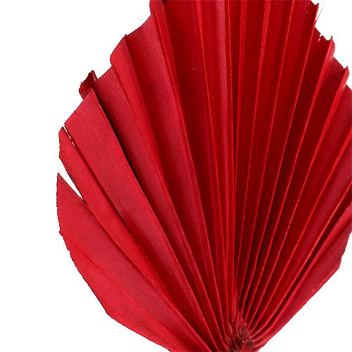 Artikel Palmspear mini rood 100 st