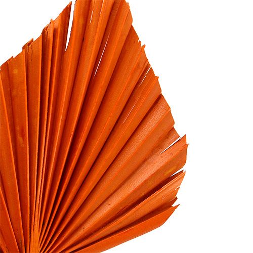Artikel Palmspeer Oranje 65 st