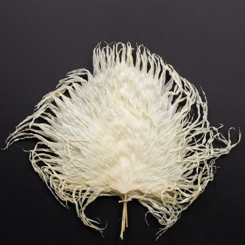 Palmbladeren gedroogd, decoratief gebleekt 45cm 5 stuks