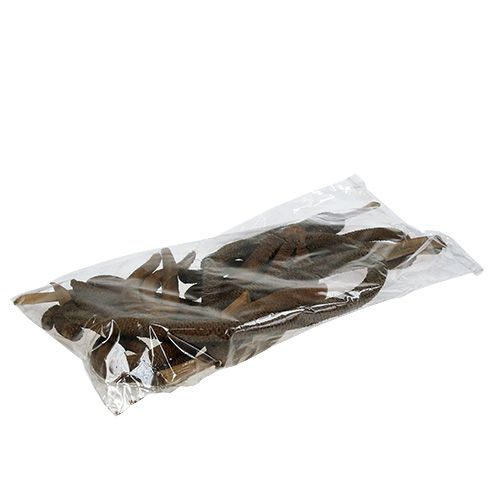 Floristik24 Palmkegels 3-voudig natuurlijke decoratie 10 st