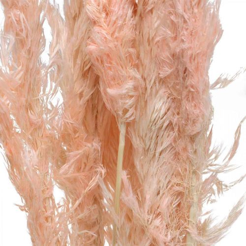 Artikel Gedroogd pampasgras roze droogbloemen natuurlijke decoratie 65-75cm 6 st