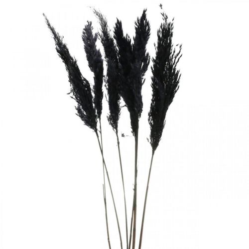 Pampasgras zwart 65-75cm droog gras natuurlijke decoratie 6 stuks