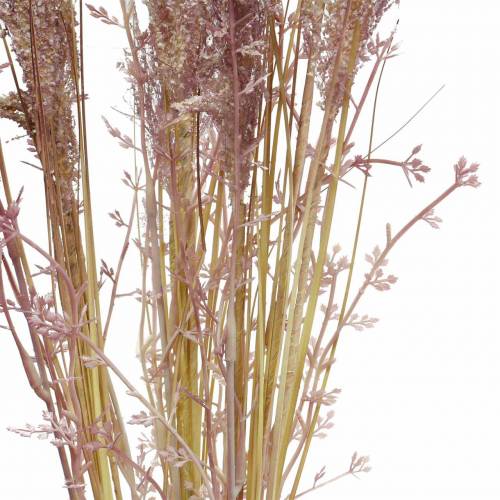 Floristik24 Pampasgras crème, violet Gedroogde kunstbloemen 3st