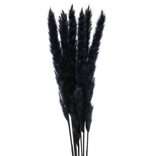 Artikel Pampasgras zwart gedroogd droog decoratie L72cm 6st