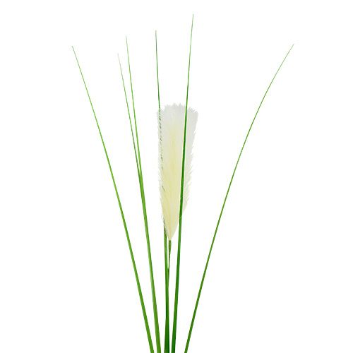 Floristik24 Pampas grasvarenblad creme-groen H100cm