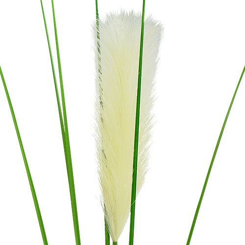 Floristik24 Pampas grasvarenblad creme-groen H100cm