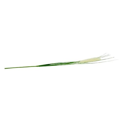 Floristik24 Pampas grasvarenblad creme-groen H100cm