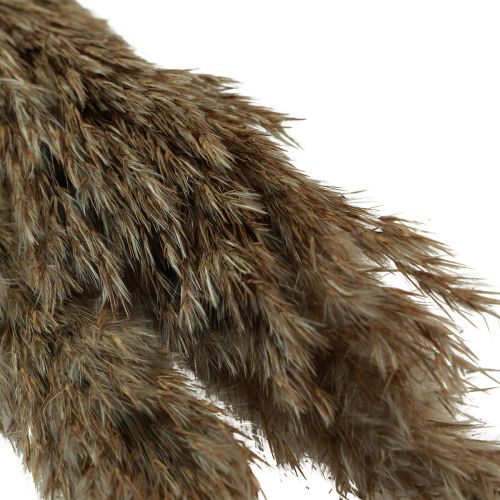 Artikel Pampasgras gedroogd decoratief droog gras naturel 95cm 3 st