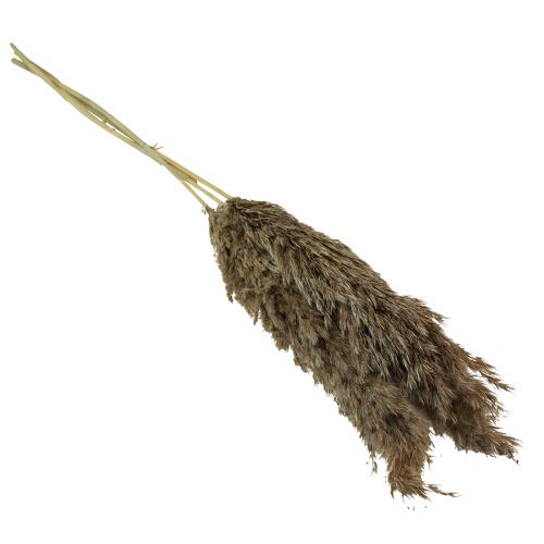 Artikel Pampasgras gedroogd decoratief droog gras naturel 95cm 3 st