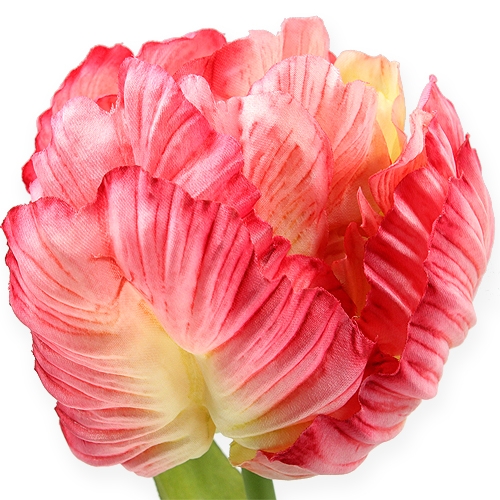 Floristik24 Papegaaitulp roze 71cm 3st