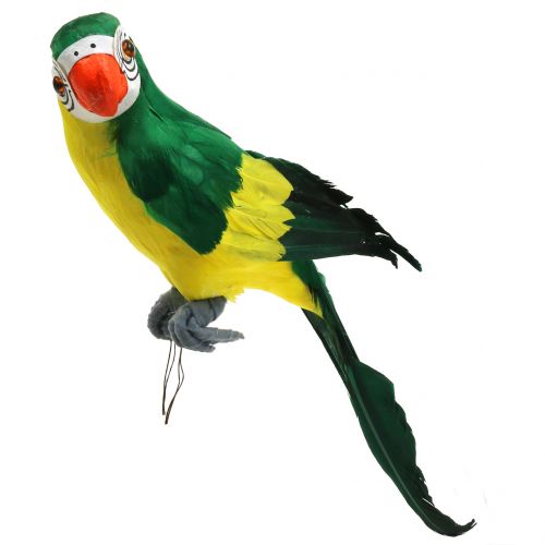 Floristik24 Decoratieve papegaai groen 44cm