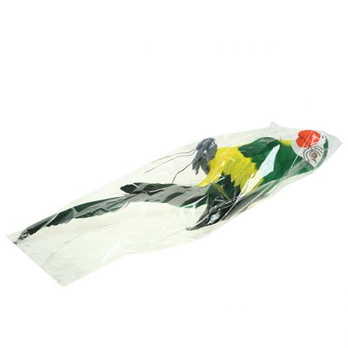 Floristik24 Decoratieve papegaai groen 44cm