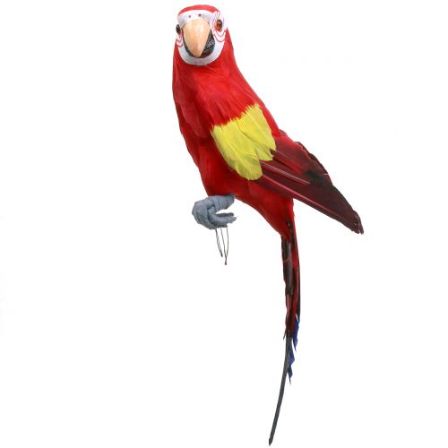 Floristik24 Decoratie papegaai rood 44cm