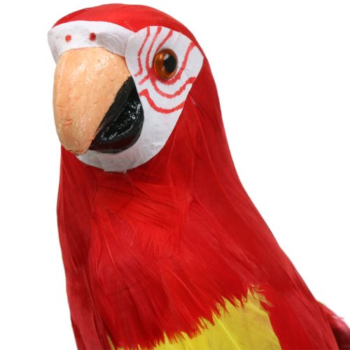 Floristik24 Decoratie papegaai rood 44cm