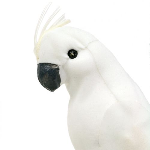 Artikel Papegaaien met veren wit Kunstmatige kaketoe decoratieve vogel 4st