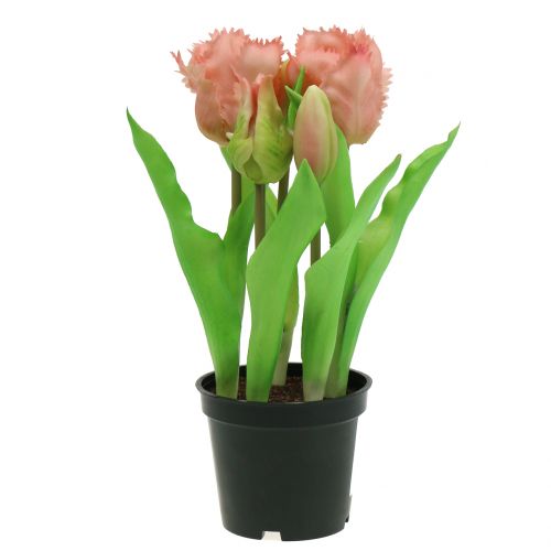 Floristik24 Papegaaitulp Real-Touch in een pot roze 23cm